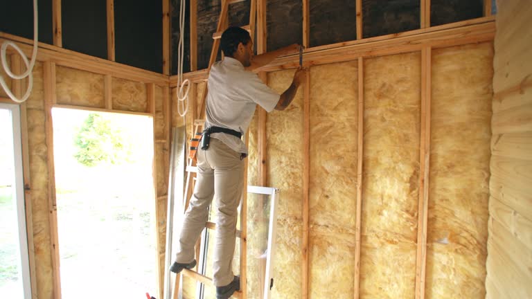 Best Basement Insulation  in Seminole, FL